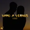 About Vamo' A Vernos Song