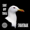 About Svartbak Song