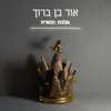 About מלכת הכוורת Song