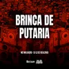 About BRINCA DE PUTARIA Song