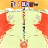 About If I Knew Song