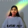 About Qatar 2022 Song