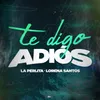 About Te Digo Adiós Song