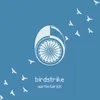 About Birdstrike Song