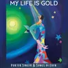 About My Life Is Gold Song
