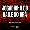 About JOGADINHA DO BAILE DO ARÁ Song