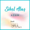About Adam Song