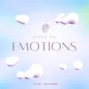 Lost in Emotions