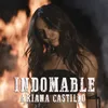 About Indomable Song