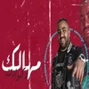 About مهالك و كوارث Song