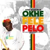 About Oke Fele Pelo Song