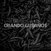 Criando Gusanos