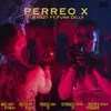About Perreo X Song