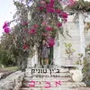 About אביב Song