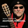 Agüita de manantial