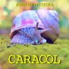 About Caracol Song