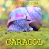 Caracol