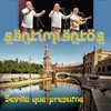 About Sentimientos - Sevilla que presume Song