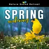 Spring Awakening - 852Hz Flute Meditation Music & Gentle Wind Chimes