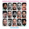 About Intención Song