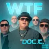 About WTF Song