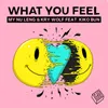 About What You Feel Song