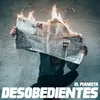 About Desobedientes Song