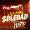 About Maldita Soledad Song