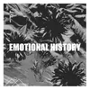 About Emotional History Song