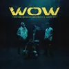 About WOW Song