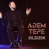 About Dildizok Song