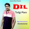 About Dil Todgi Maro Song