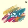 About Want It Song