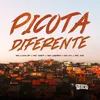 About Picota Diferente Song