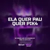 About ELA QUER PAU QUER PIK4 Song