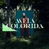 About Meia Colorida Song