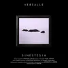 Sinestesia