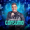 About Sonho de Consumo Song