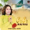 About Ya Ali Ya Ali Song