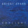 About Bright Spark (feat. Kurt Rosenwinkel) Song