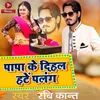 About Papa Ke Dihal Hate Palang Song