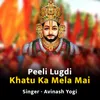 Peeli Lugdi Khatu Ka Mela Mai