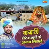 About Babaji Tere Bhakto Ki Ajab Nirale Song