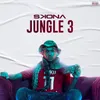 About Jungle No. 3 Song