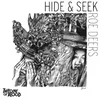 Hide and Seek