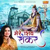 About Mere Shiv Shankar Song