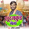 About Surajkund Mela Song