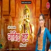 About Shri Krishna Govind Hare Murari Song