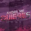 About Ahora Me Quieres Song