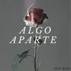 About Algo Aparte Song